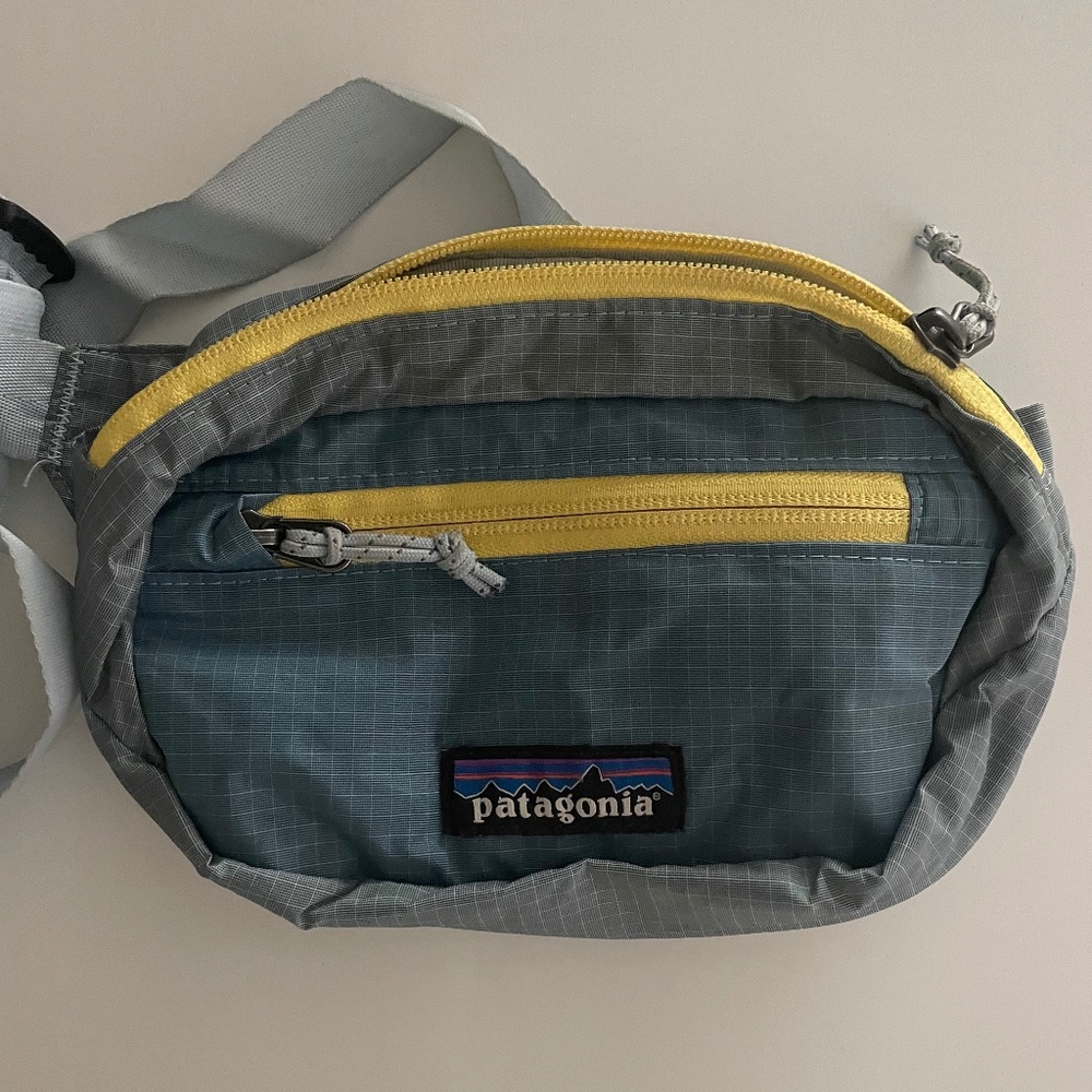 Patagonia belt bag